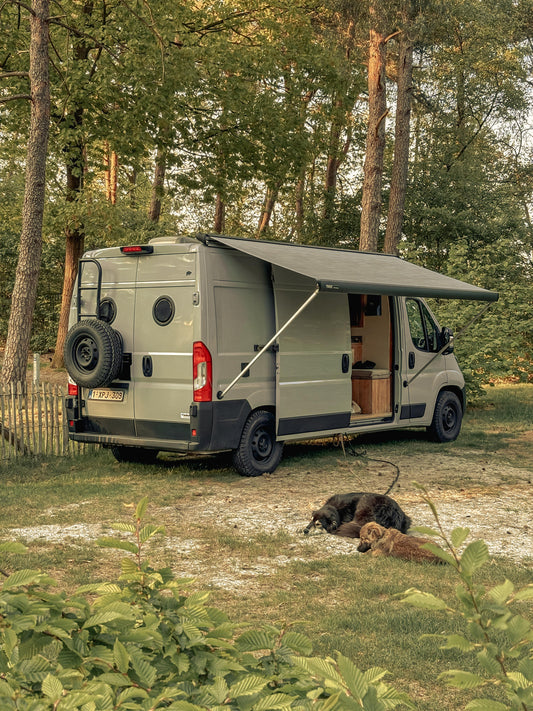 Tactic luifelpoothouder (set)